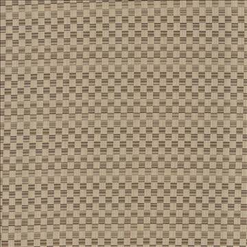Kasmir Fabrics Check This Out Latte Fabric 